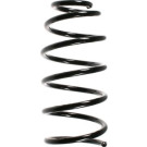 Spidan | Fahrwerksfeder | 49552