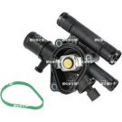 725300 Thermostat, Kühlmittel EASY FIT