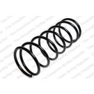 4259216 Fahrwerksfeder