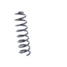 Monroe | Fahrwerksfeder | SE2899 Monroe | Fahrwerksfeder | SE2899