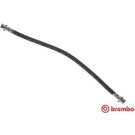 Brembo | Bremsschlauch | T 79 012