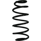 Spidan | Fahrwerksfeder | 87539