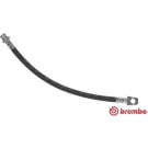 Brembo | Bremsschlauch | T 56 114