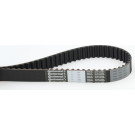 ContiTech | Zahnriemen | CT898