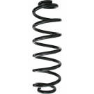 Spidan | Fahrwerksfeder | 87173