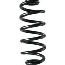 Spidan | Fahrwerksfeder | 88389