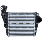 309025 Ladeluftkühler