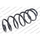 4095849 Fahrwerksfeder