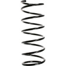 Spidan | Fahrwerksfeder | 48583
