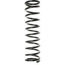 Spidan | Fahrwerksfeder | 55760