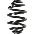 Spidan | Fahrwerksfeder | 49166
