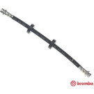 Brembo | Bremsschlauch | T 24 020