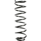 Spidan | Fahrwerksfeder | 55292