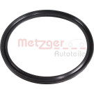 2430088 Dichtring, Lader GREENPARTS