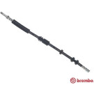 Brembo | Bremsschlauch | T 85 139