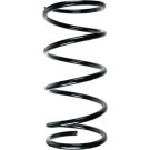 Spidan | Fahrwerksfeder | 55535