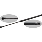 FEBI BILSTEIN 48581 Gasfeder, Koffer-/Laderaum