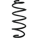 Spidan | Fahrwerksfeder | 87984