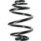 Spidan | Fahrwerksfeder | 55955