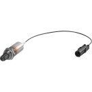 F 00H L00 311 Lambdasonde