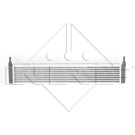 NRF | Kühler, Motorkühlung | 59175