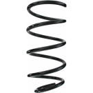 Spidan | Fahrwerksfeder | 87196