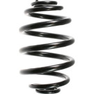 Spidan | Fahrwerksfeder | 48457