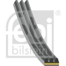 FEBI BILSTEIN 183220 Keilrippenriemen
