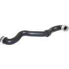 2420123 Kühlerschlauch