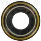 Victor Reinz | Dichtring, Ventilschaft | 70-36206-00