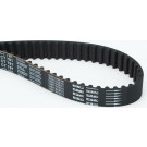 CT781 Zahnriemen CT781 Zahnriemen
