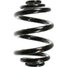Spidan | Fahrwerksfeder | 55711