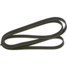 1 987 948 344 Keilrippenriemen