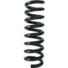 Spidan | Fahrwerksfeder | 87396