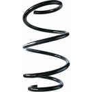 Spidan | Fahrwerksfeder | 87433