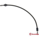 Brembo | Bremsschlauch | T 50 011