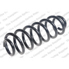 4295109 Fahrwerksfeder