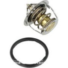 NRF | Thermostat, Kühlmittel | 725012