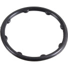 2430111 Dichtring, Lader