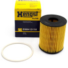 E60H D110 Ölfilter E60H D110 Ölfilter