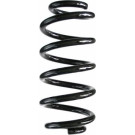 Spidan | Fahrwerksfeder | 86962