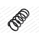 4292599 Fahrwerksfeder