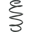 Spidan | Fahrwerksfeder | 87162