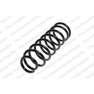 4292583 Fahrwerksfeder