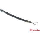 Brembo | Bremsschlauch | T 56 165