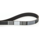 CT1076 Zahnriemen CT1076 Zahnriemen