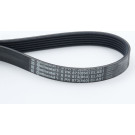 ContiTech | Keilrippenriemen | 6PK873 ELAST ContiTech | Keilrippenriemen | 6PK873 ELAST