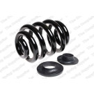 4295060 Fahrwerksfeder