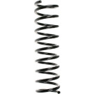 Spidan | Fahrwerksfeder | 55109
