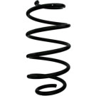 Spidan | Fahrwerksfeder | 88300